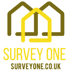 Survey one