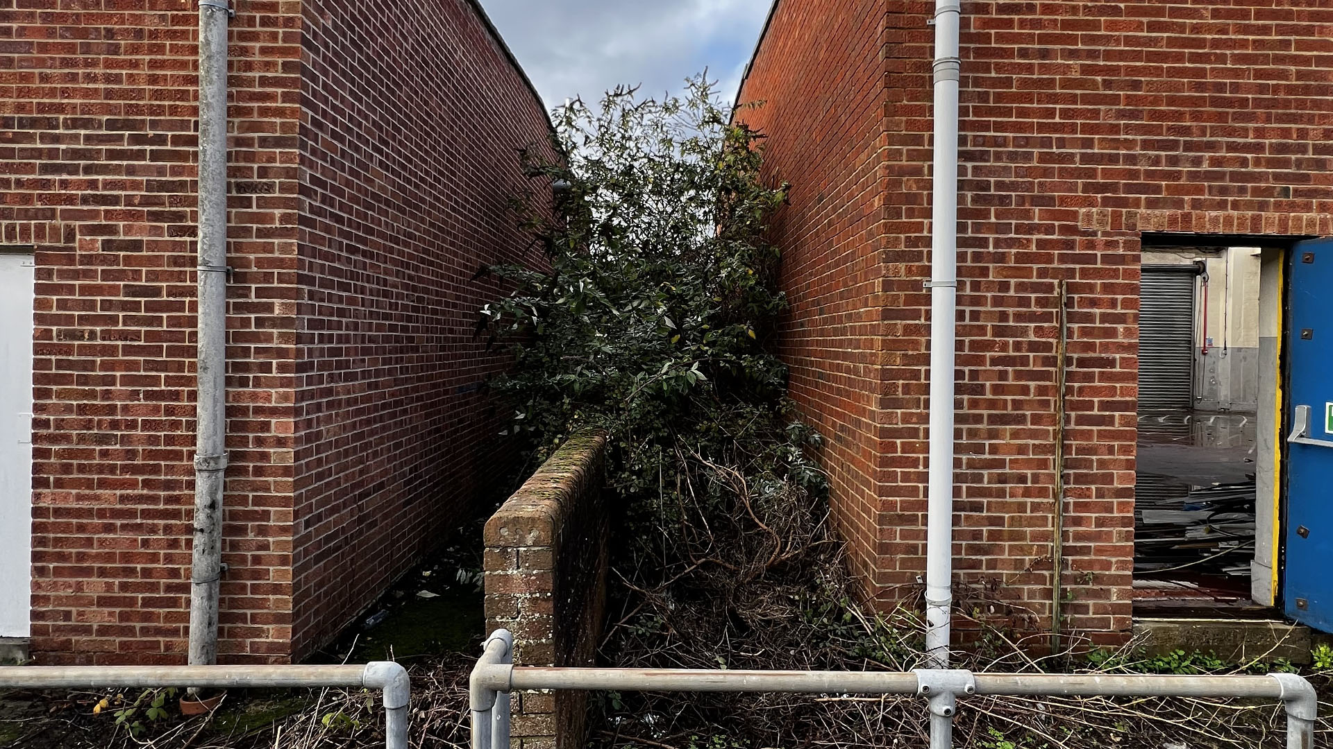 Who Should You Contact First — The Council, a Surveyor, or Your Neighbour Cardiff?